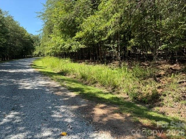 00 Elliott Drive #51 - Photo 3