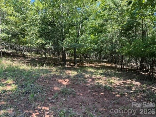 00 Elliott Drive #51 - Photo 5