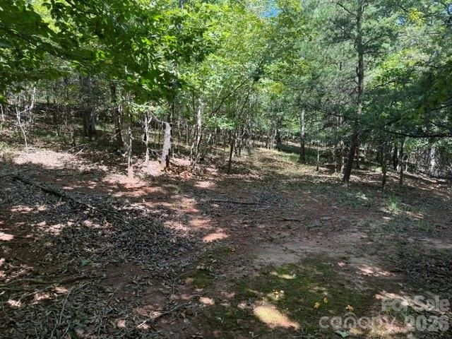 00 Elliott Drive #51 - Photo 6