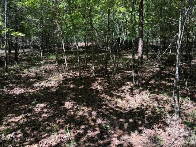 00 Elliott Drive #51 - Photo 7