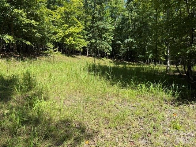 00 Elliott Drive #51 - Photo 9