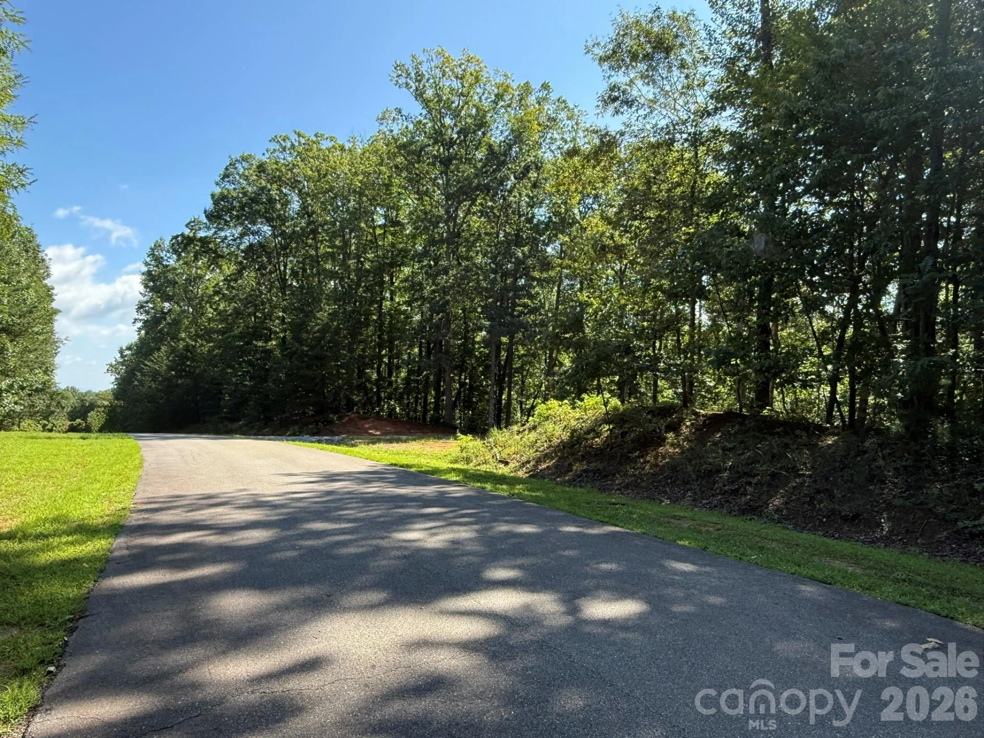 V/L Heartwood Drive #133 - Photo 5