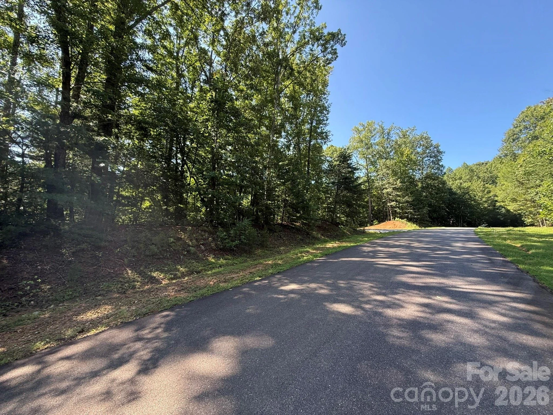 V/L Heartwood Drive #133 - Photo 6