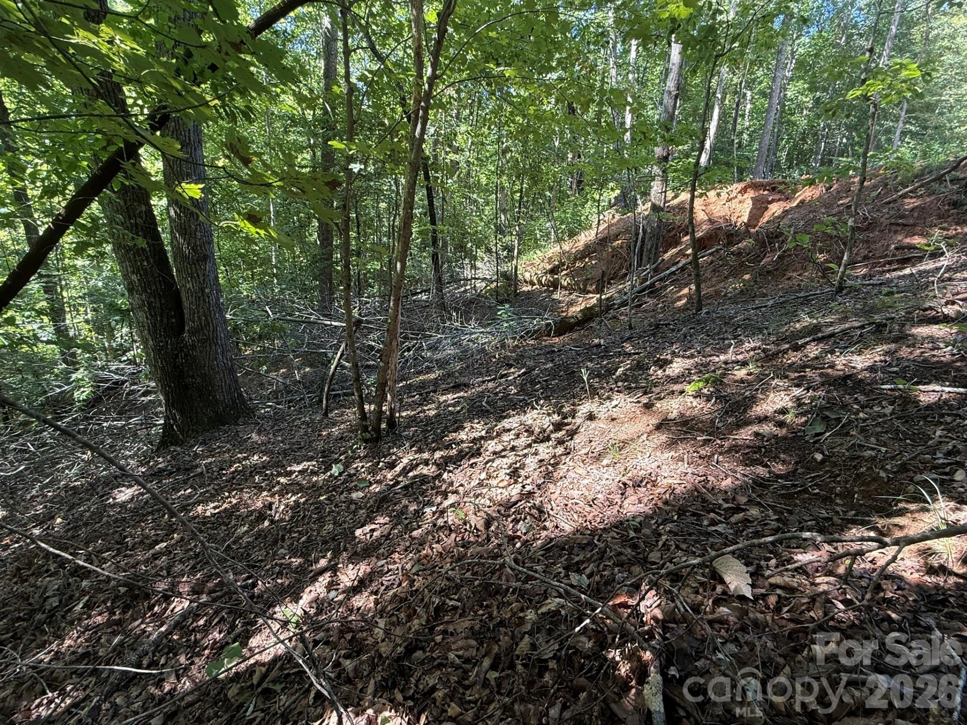 V/L Heartwood Drive #133 - Photo 9