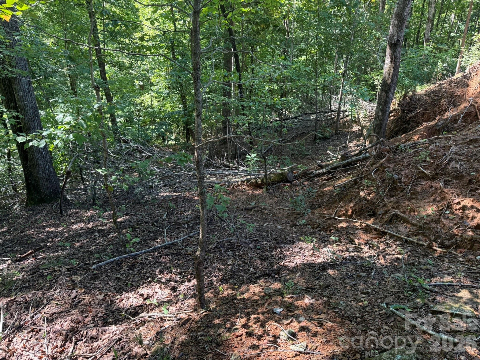 V/L Heartwood Drive #133 - Photo 11