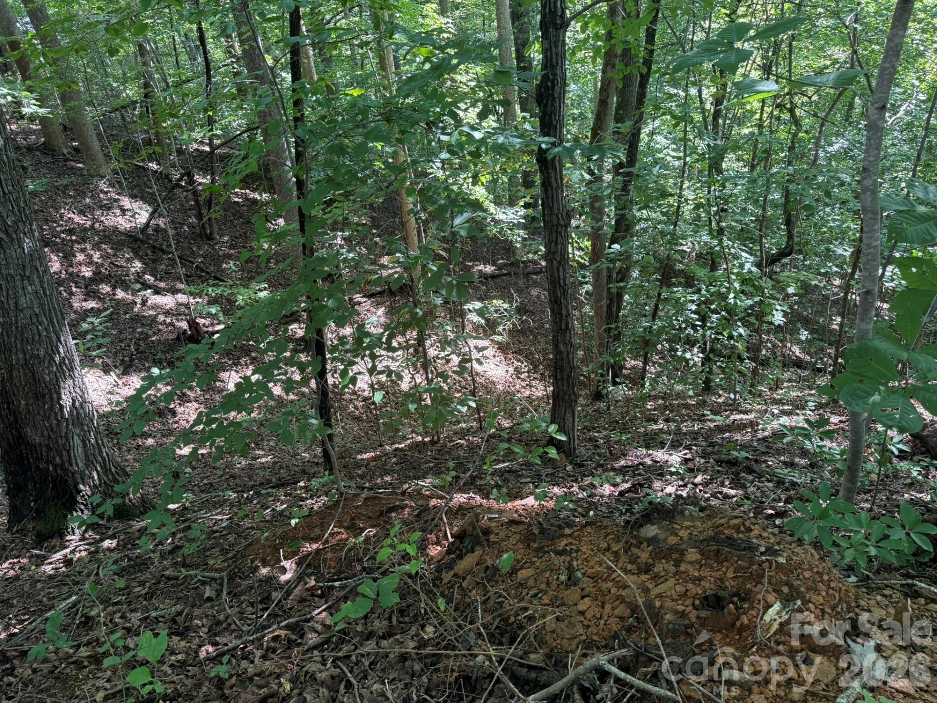 V/L Heartwood Drive #133 - Photo 13