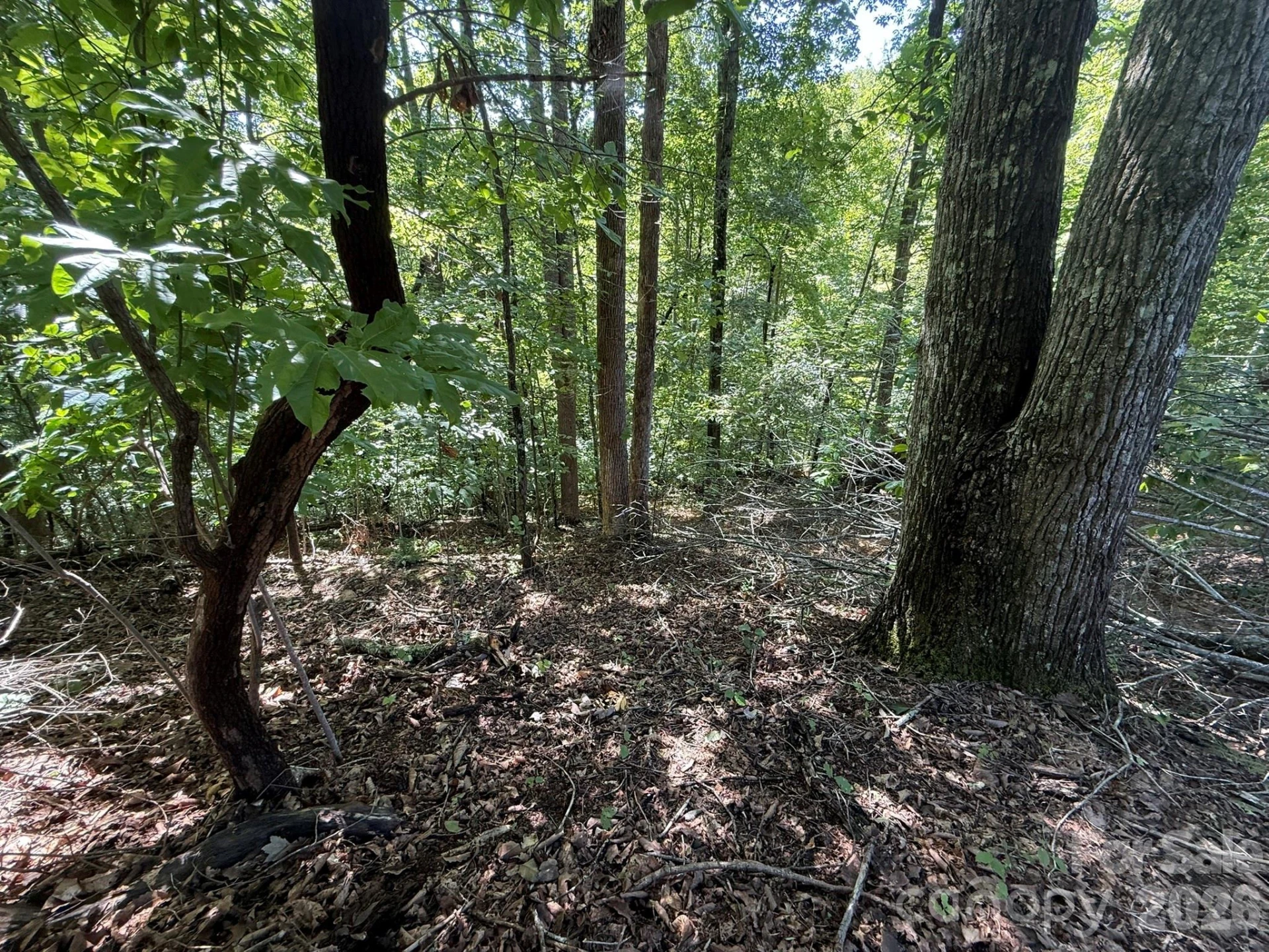 V/L Heartwood Drive #133 - Photo 14