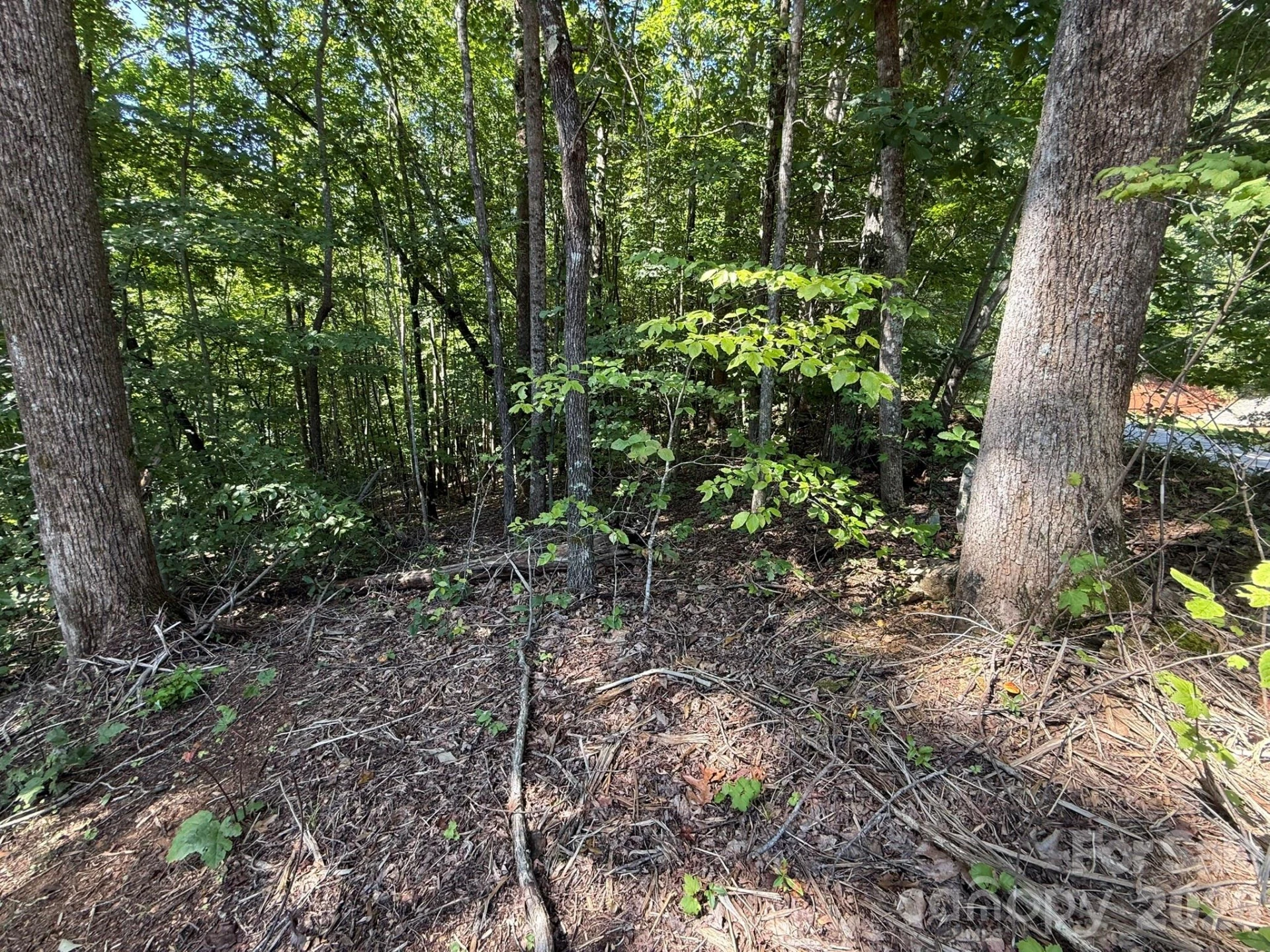 V/L Heartwood Drive #133 - Photo 15