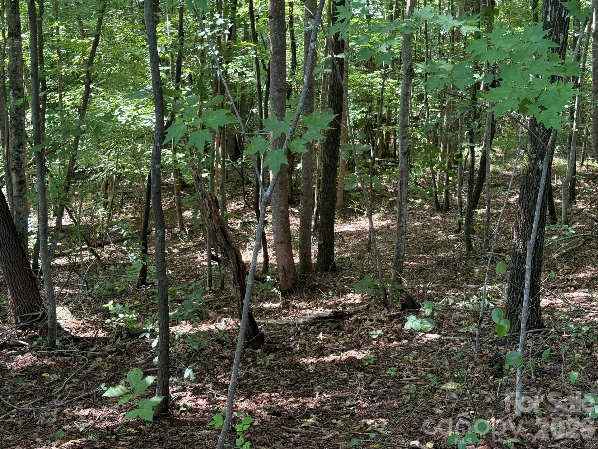 V/L Heartwood Drive #133 - Photo 18