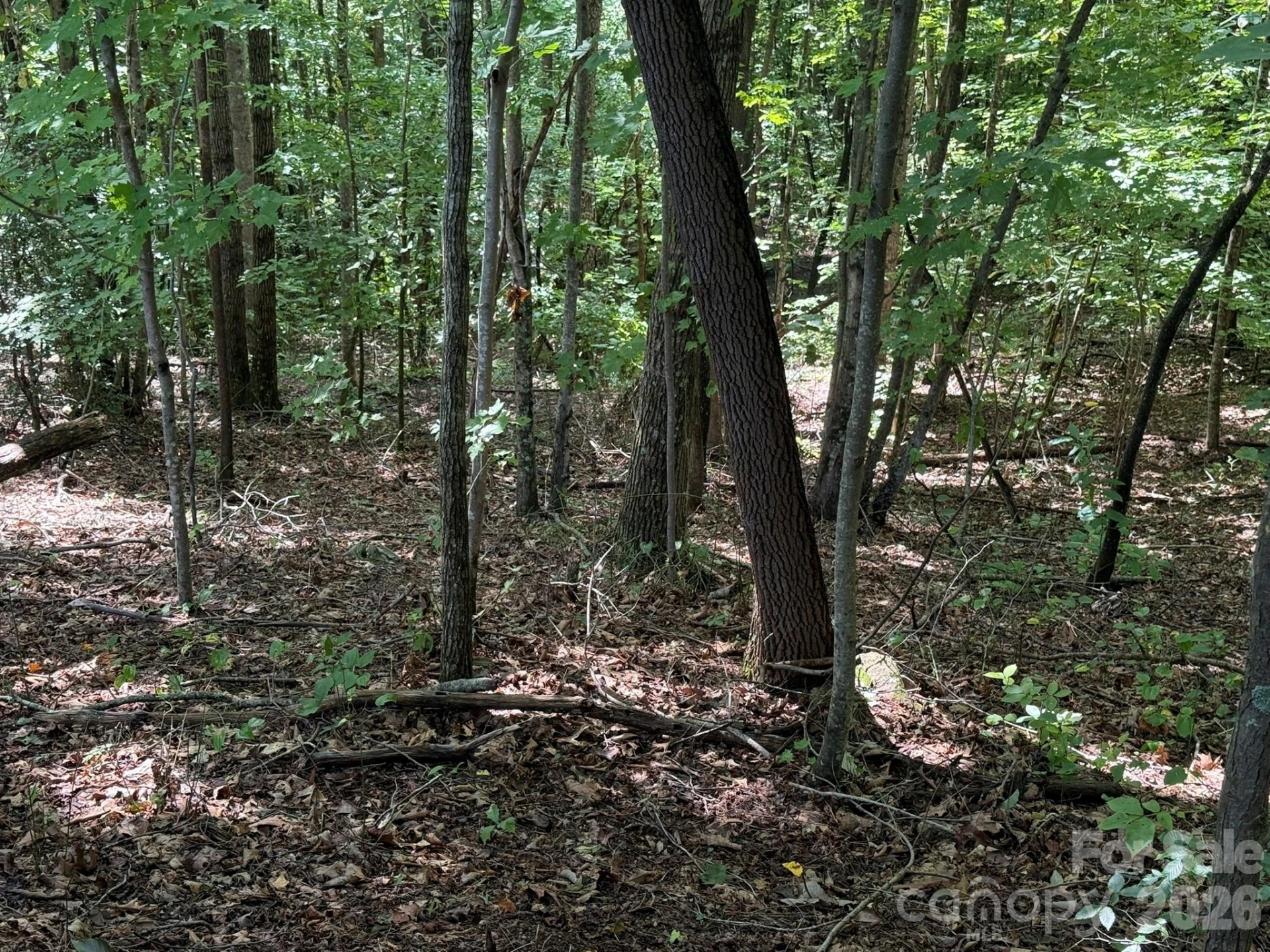 V/L Heartwood Drive #133 - Photo 20
