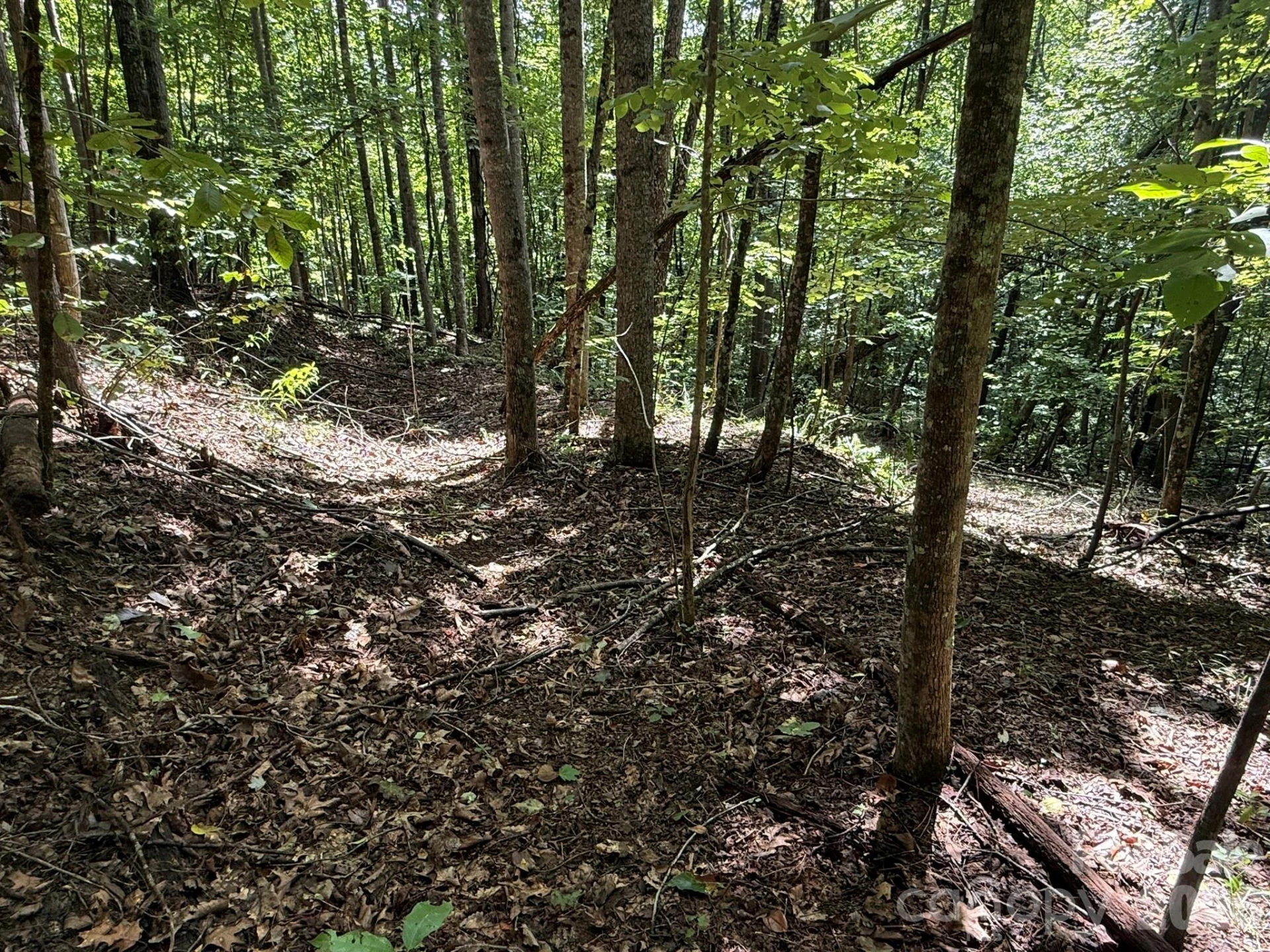 V/L Heartwood Drive #133 - Photo 23