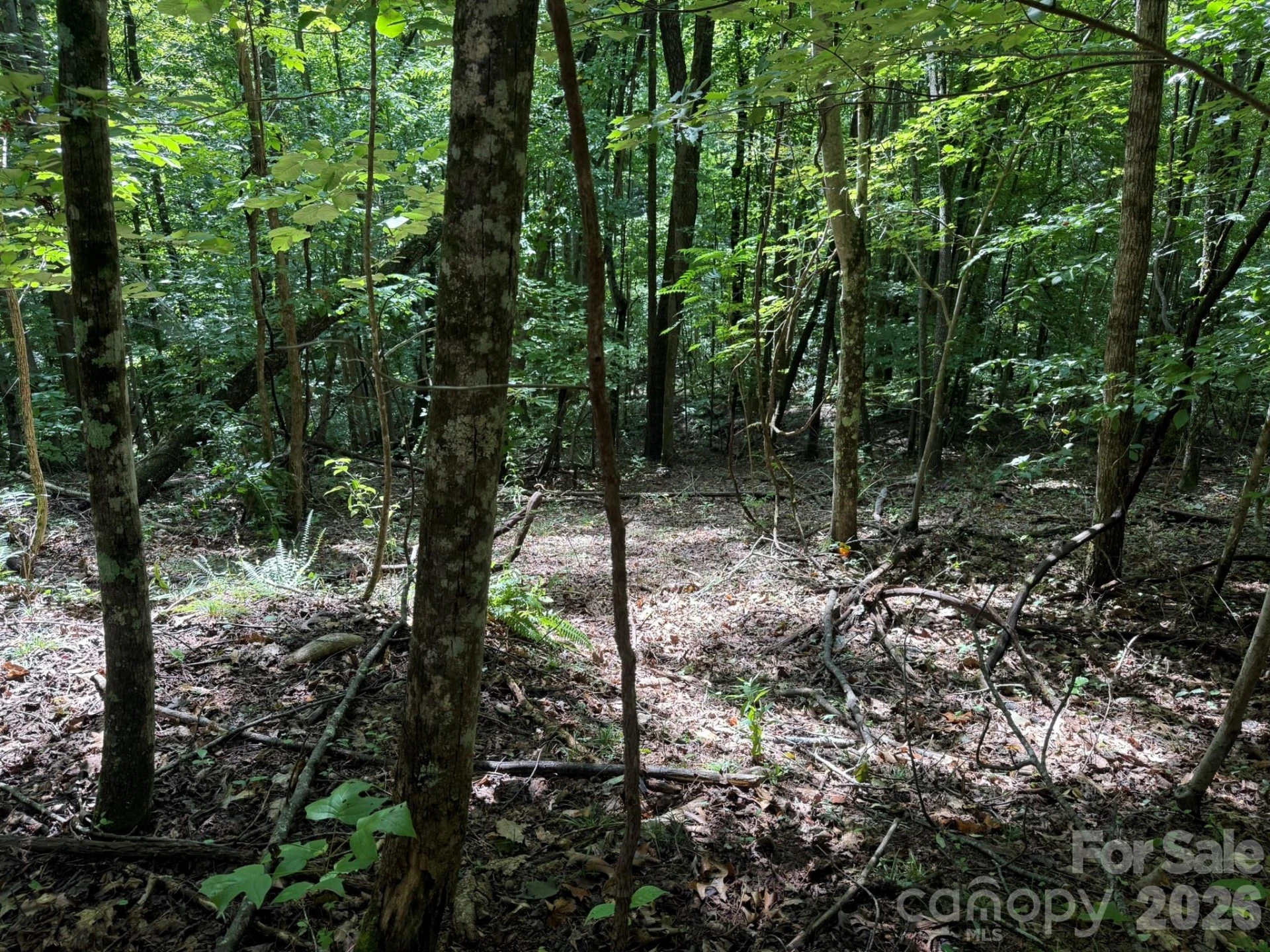 V/L Heartwood Drive #133 - Photo 24