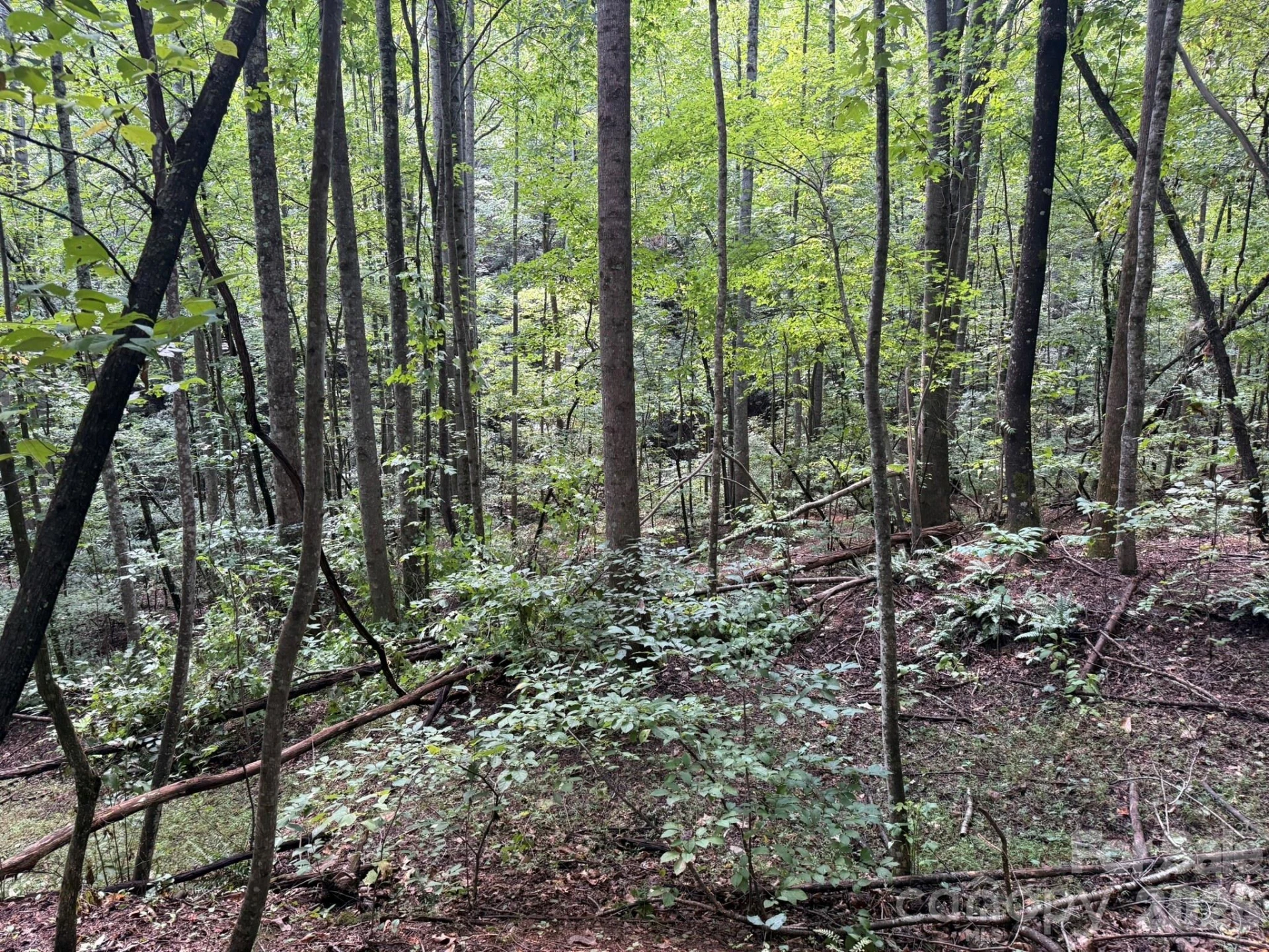 V/L Heartwood Drive #133 - Photo 27