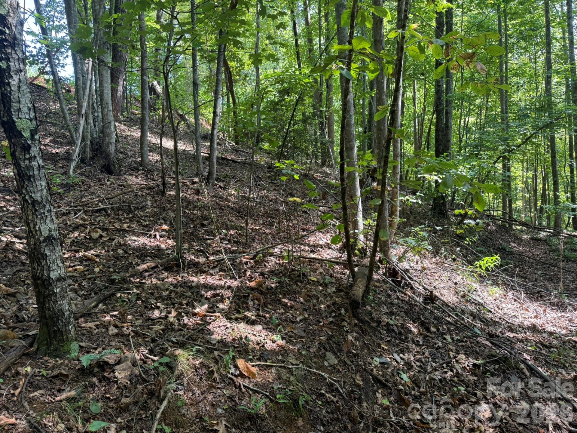 V/L Heartwood Drive #133 - Photo 29