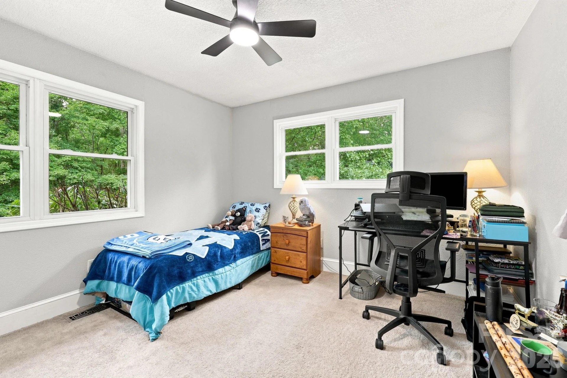 260 Justice Ridge Road - Photo 12
