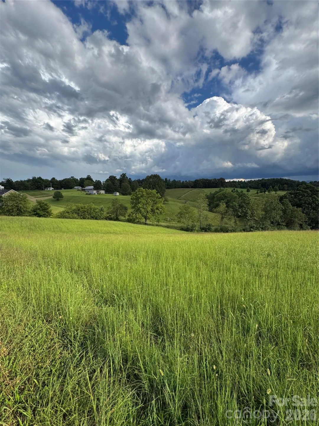 237 Rock Bridge Road - Photo 2