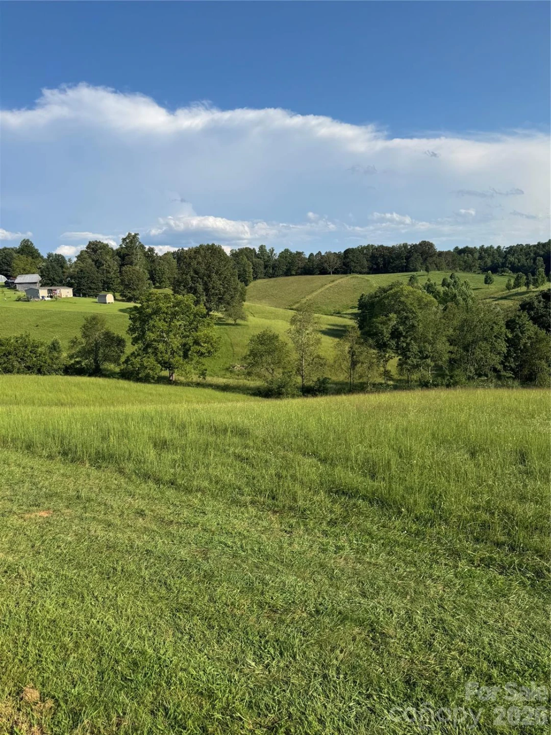 237 Rock Bridge Road - Photo 5