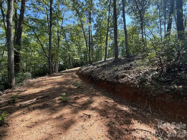 V/L Overland Trail