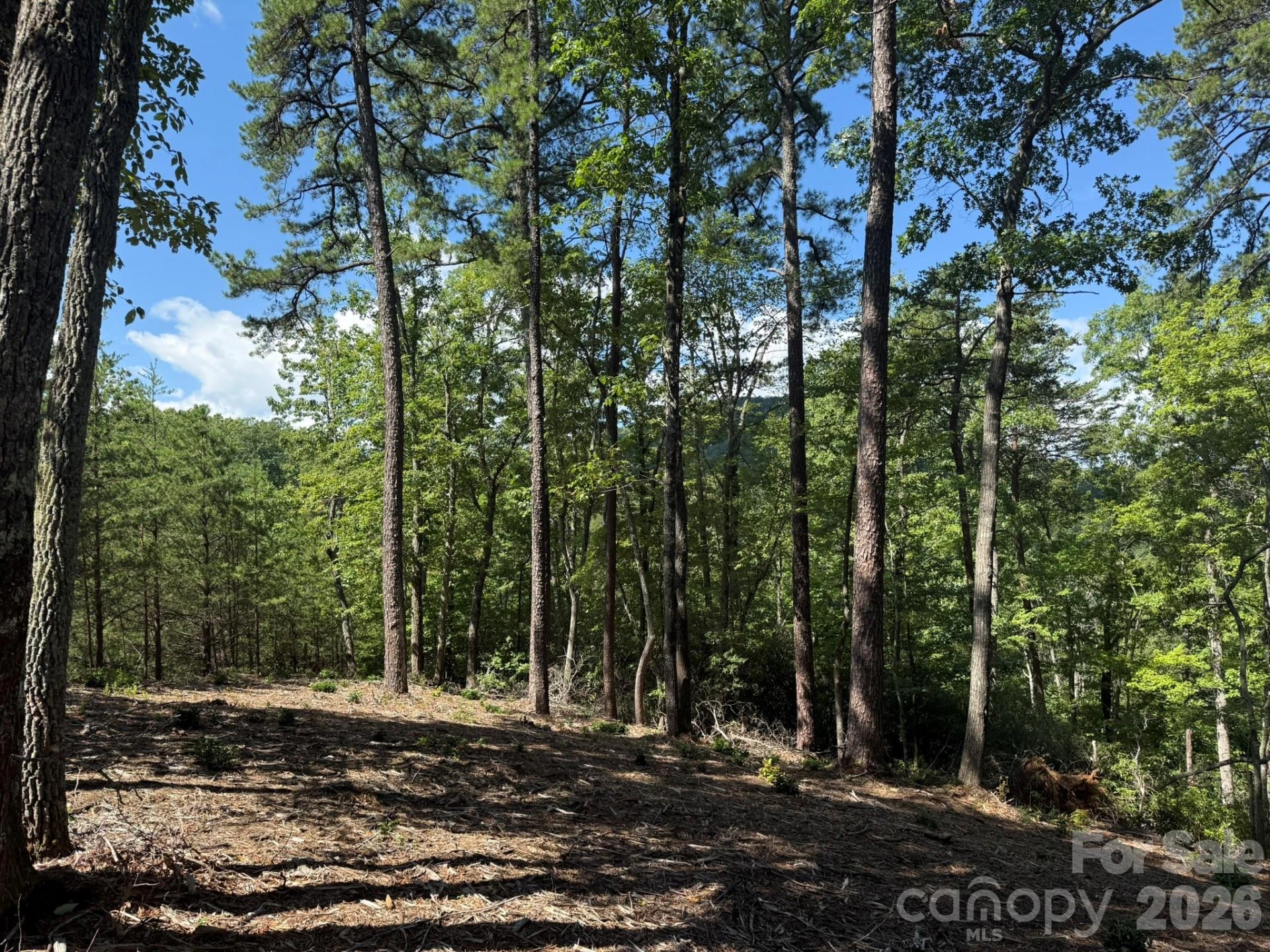 V/L Overland Trail #168 - Photo 3