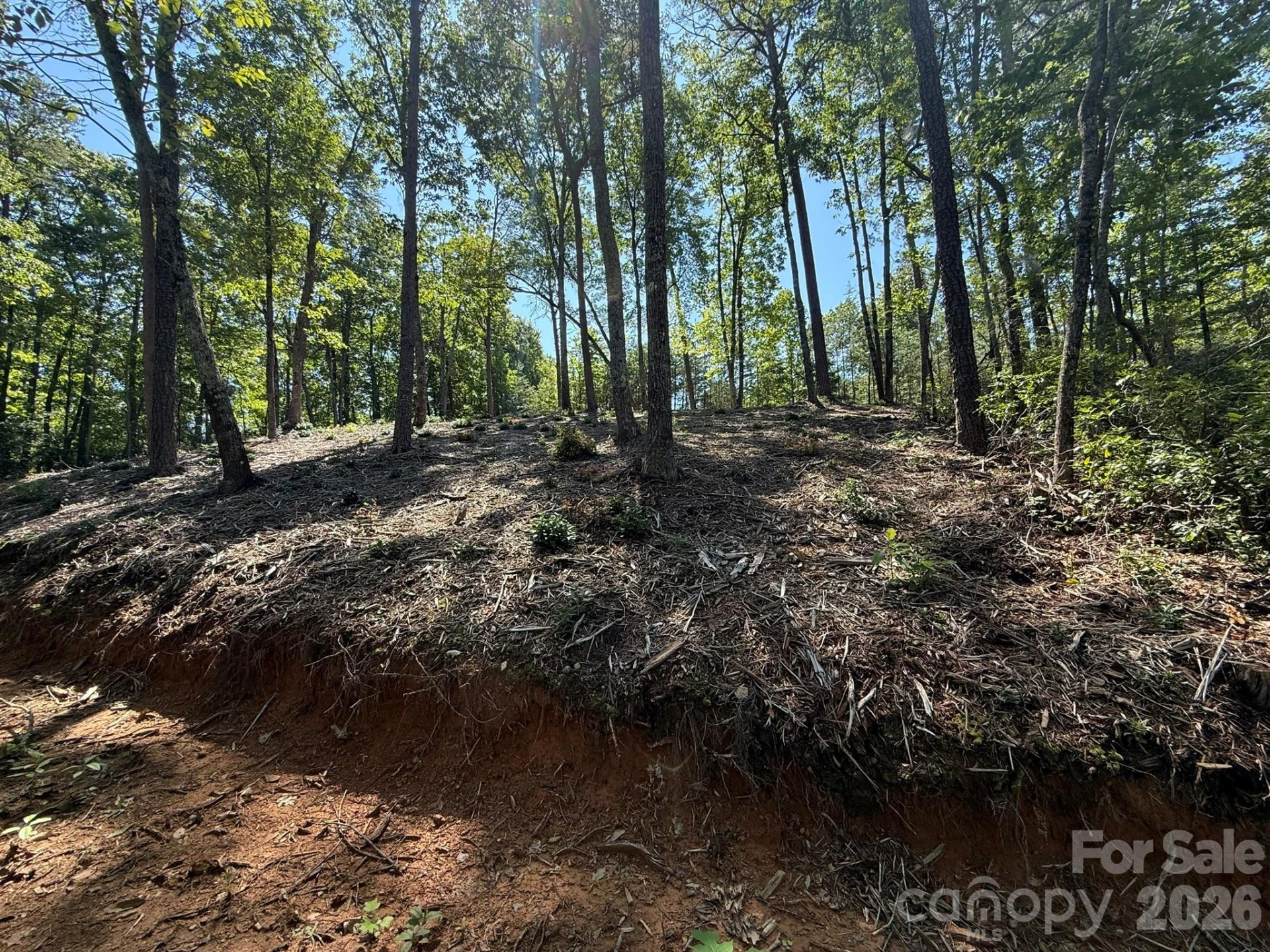 V/L Overland Trail #168 - Photo 9