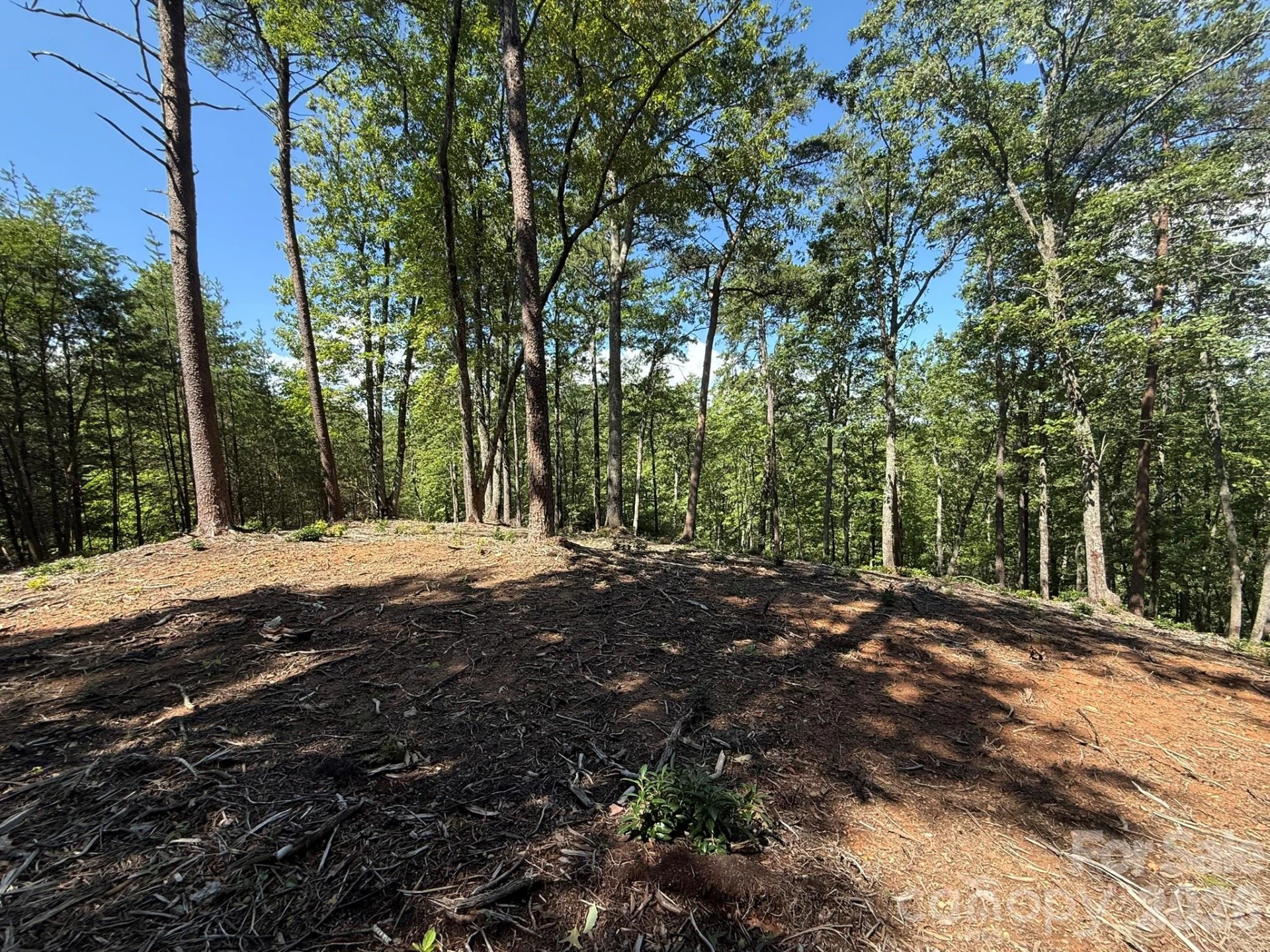 V/L Overland Trail #168 - Photo 12