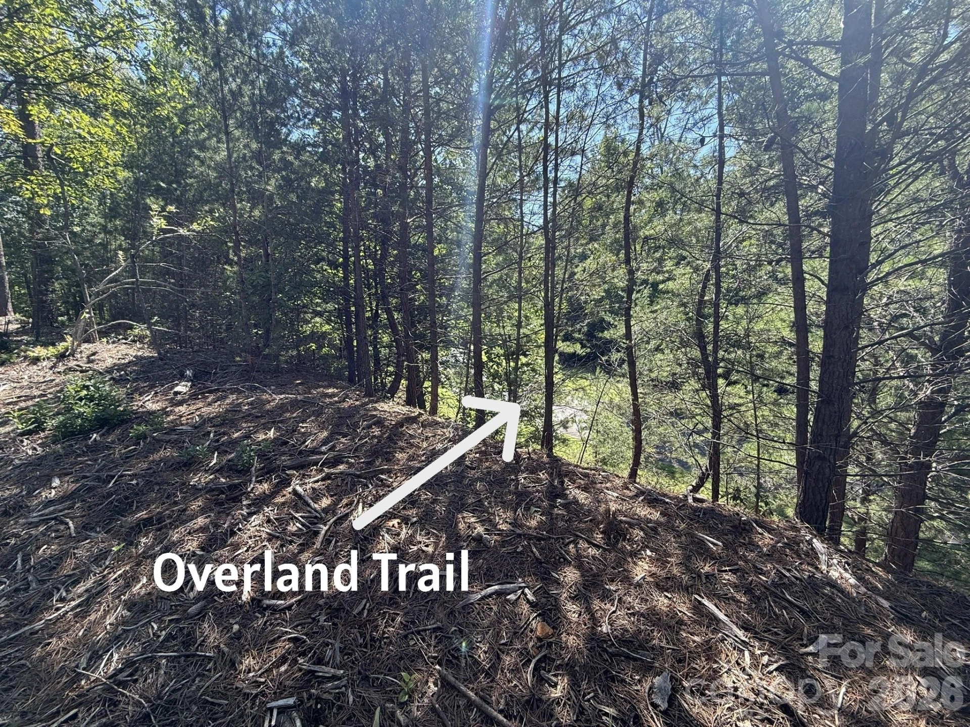 V/L Overland Trail #168 - Photo 14