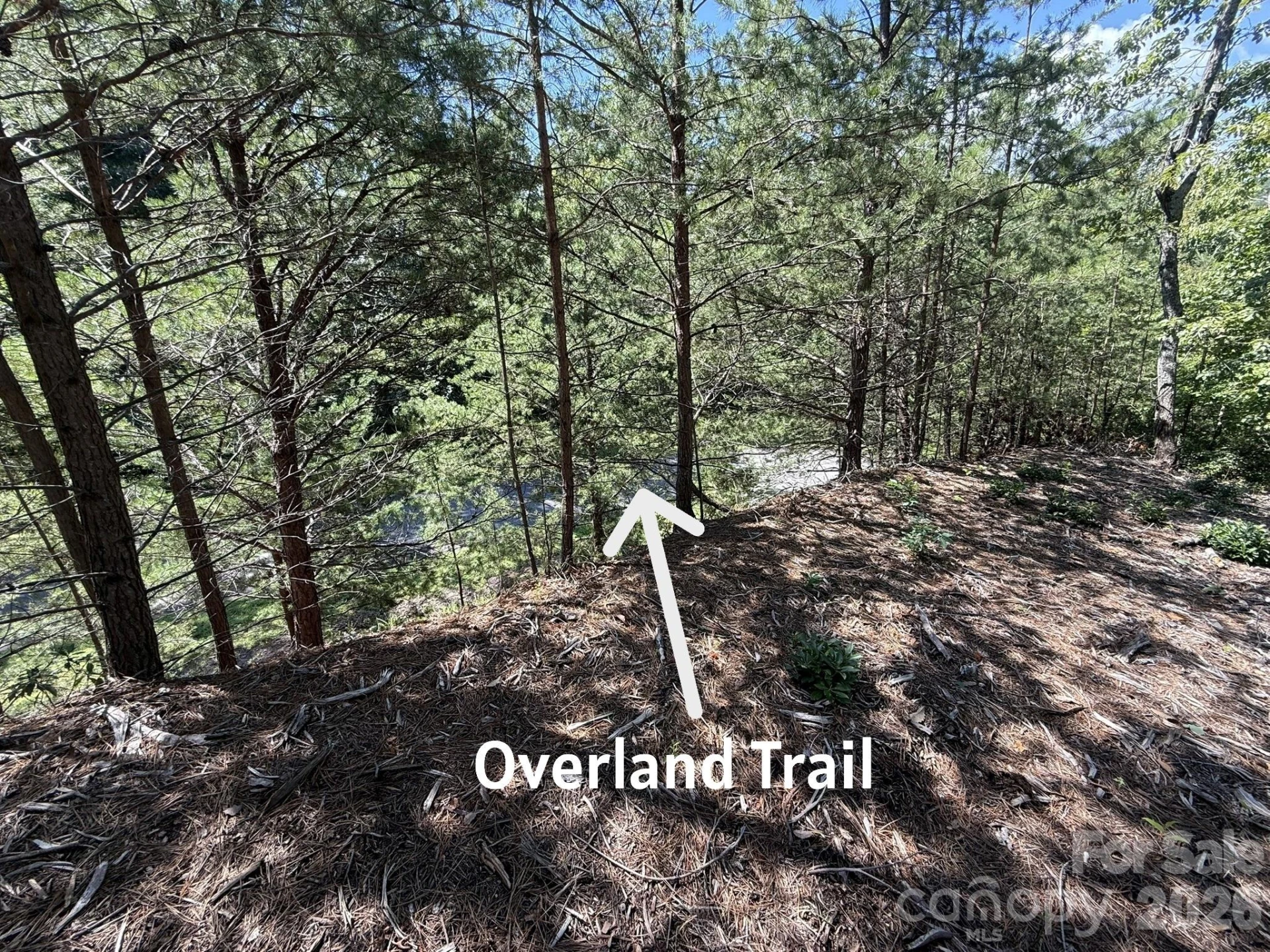 V/L Overland Trail #168 - Photo 15