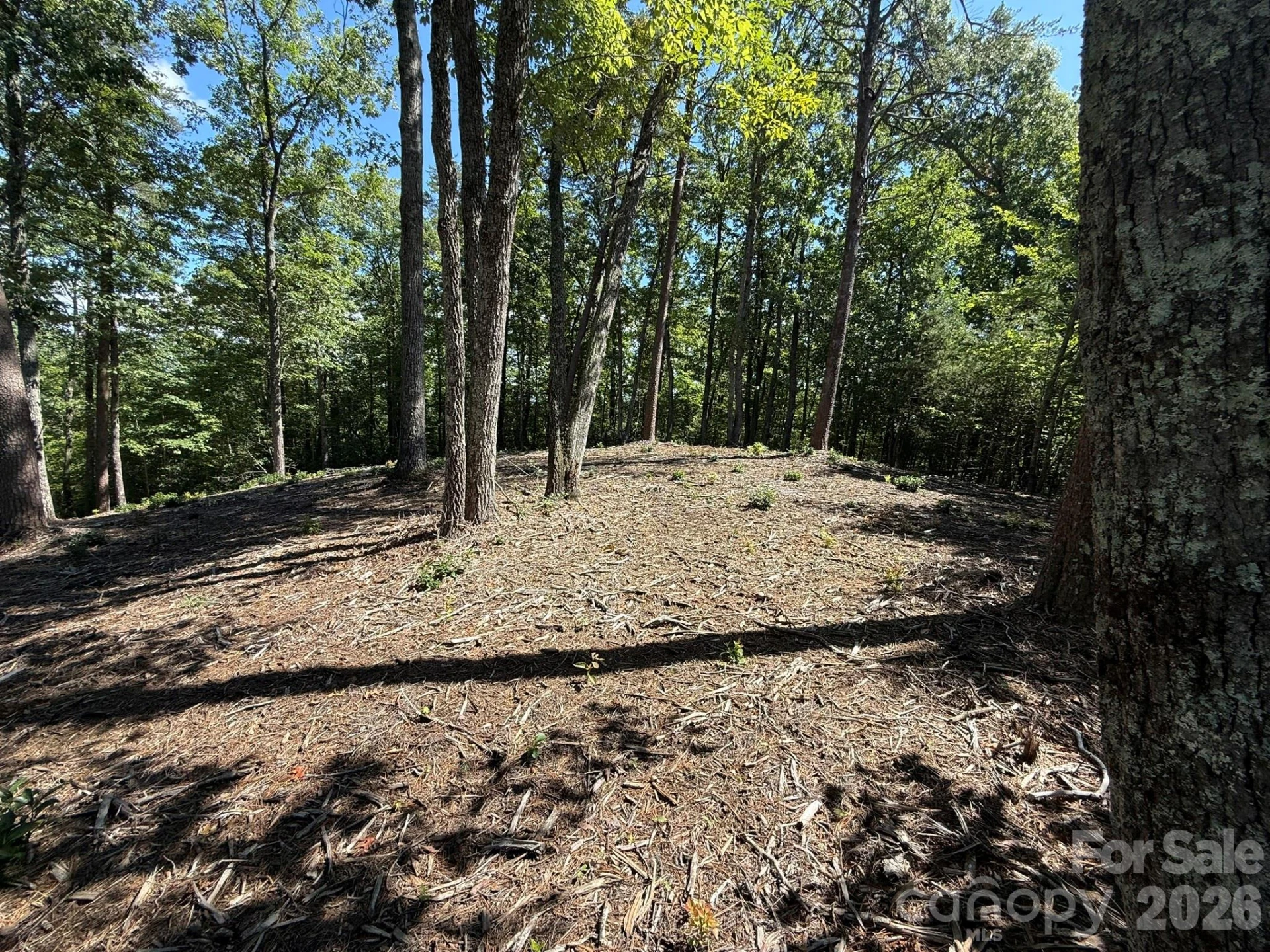 V/L Overland Trail #168 - Photo 17