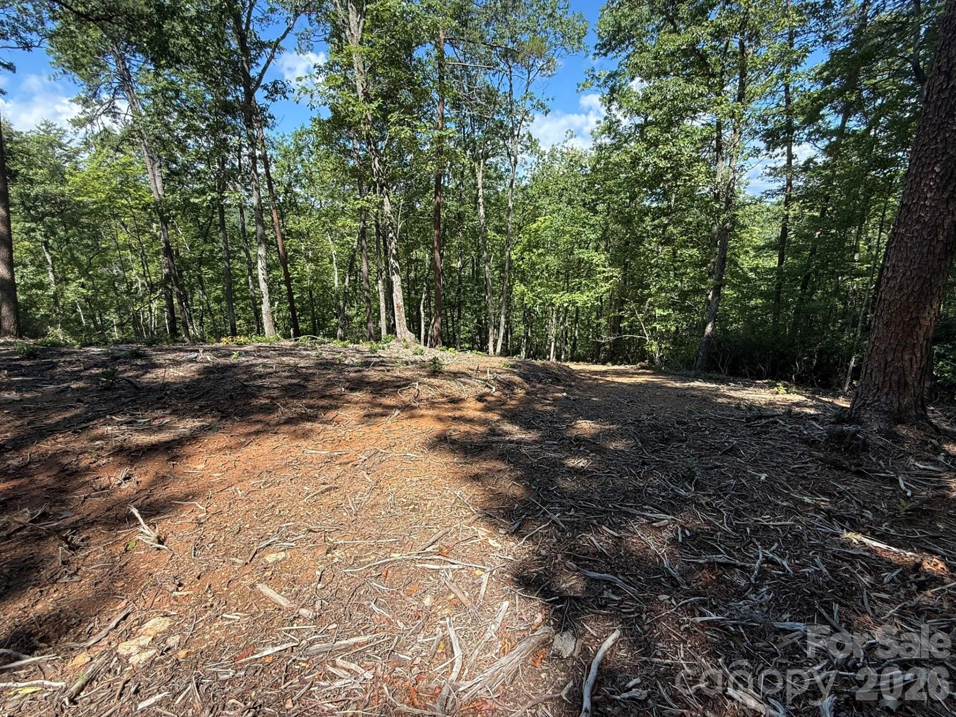 V/L Overland Trail #168 - Photo 20