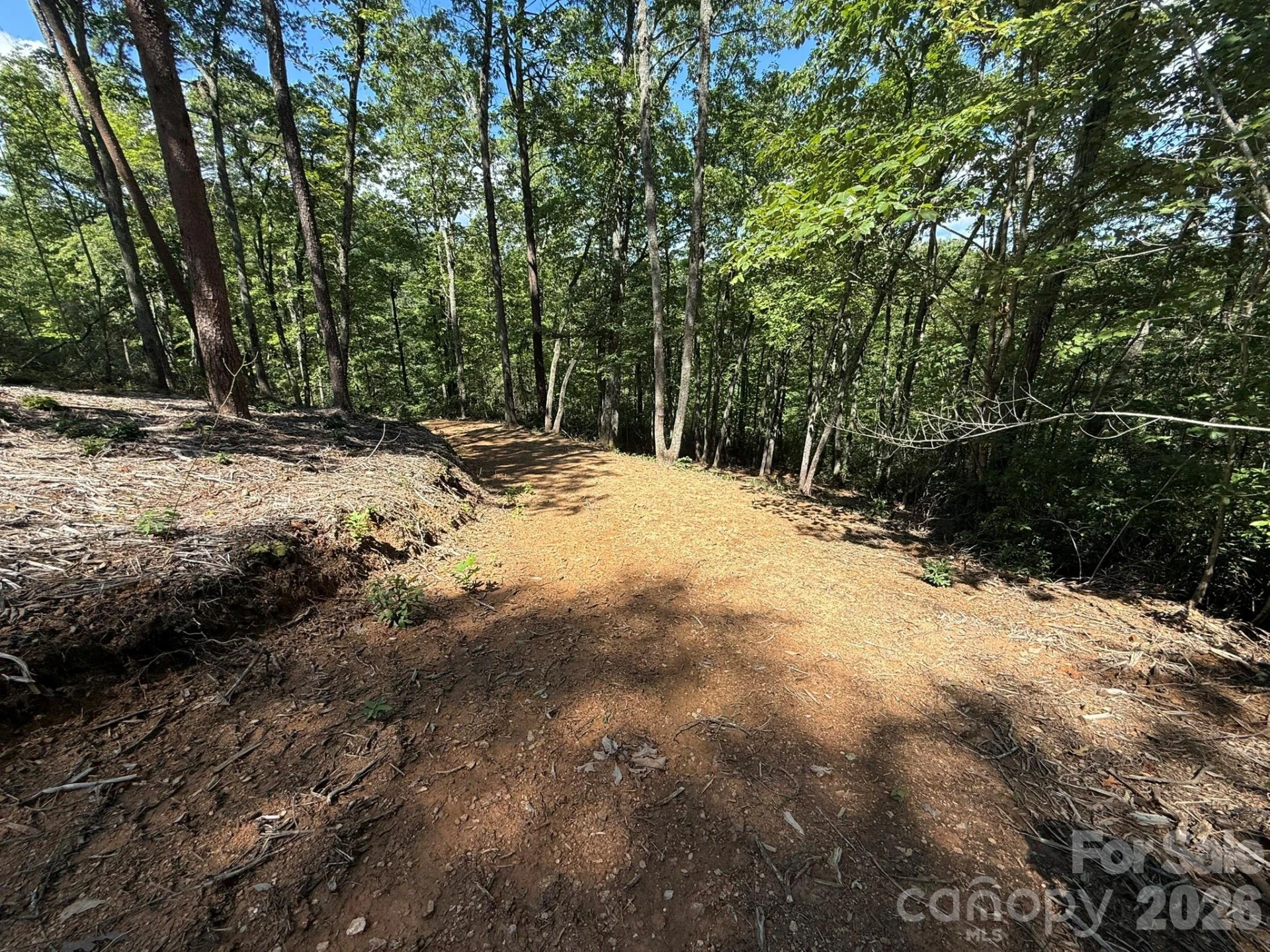 V/L Overland Trail #168 - Photo 21