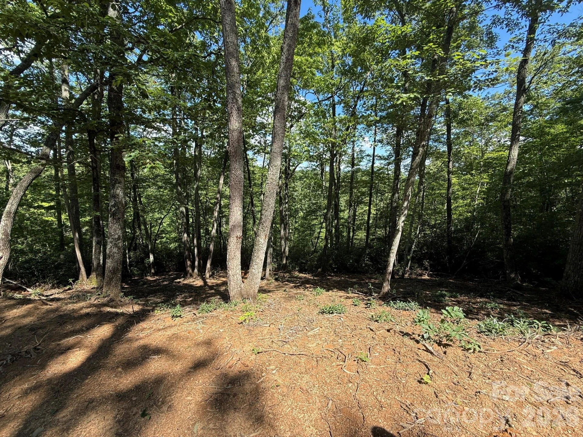V/L Overland Trail #168 - Photo 22
