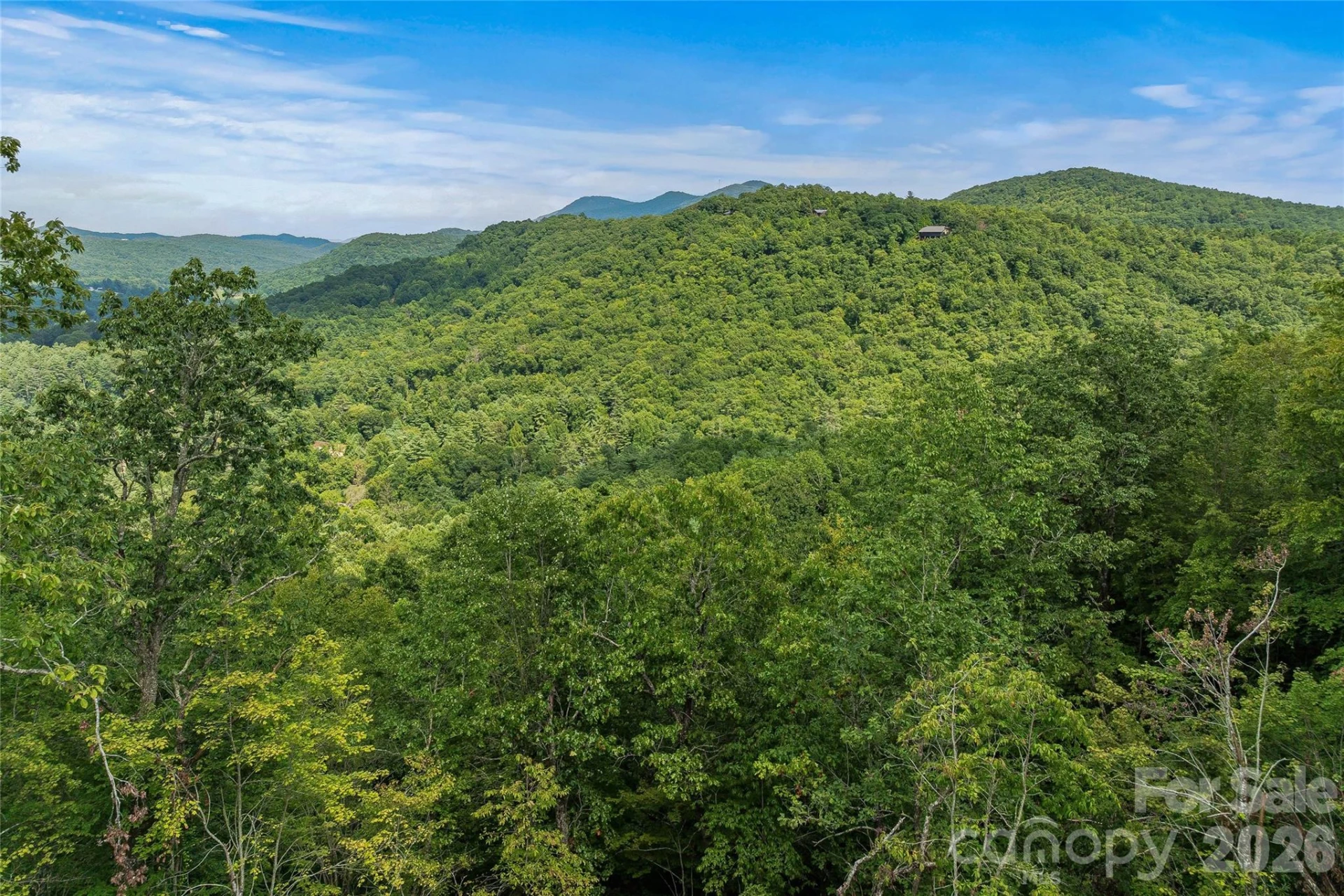 0 Morgan Drive - Photo 10