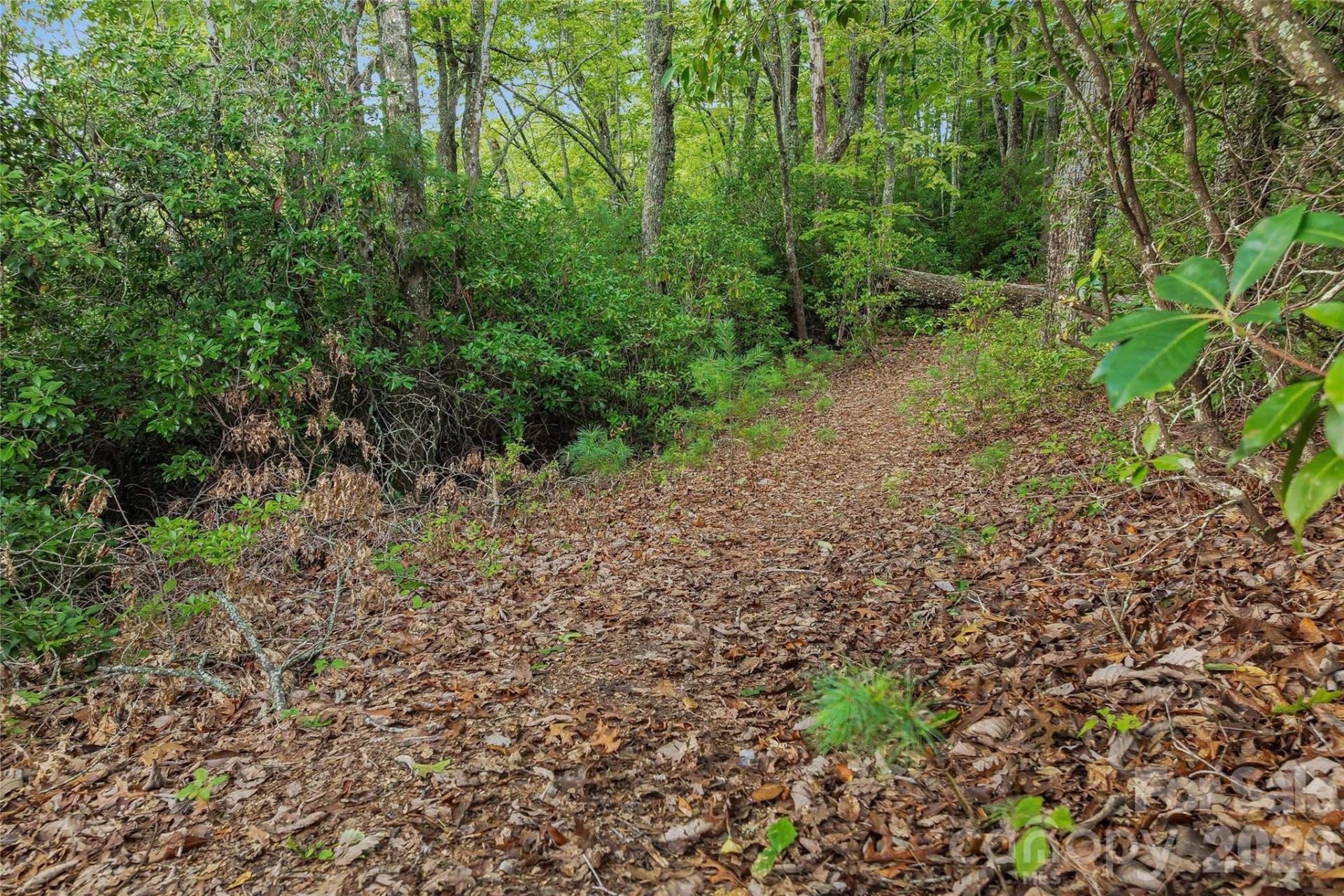 0 Morgan Drive - Photo 14