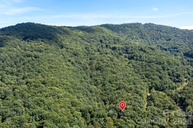 1250 Arborcrest Way, Swannanoa, NC, 28778