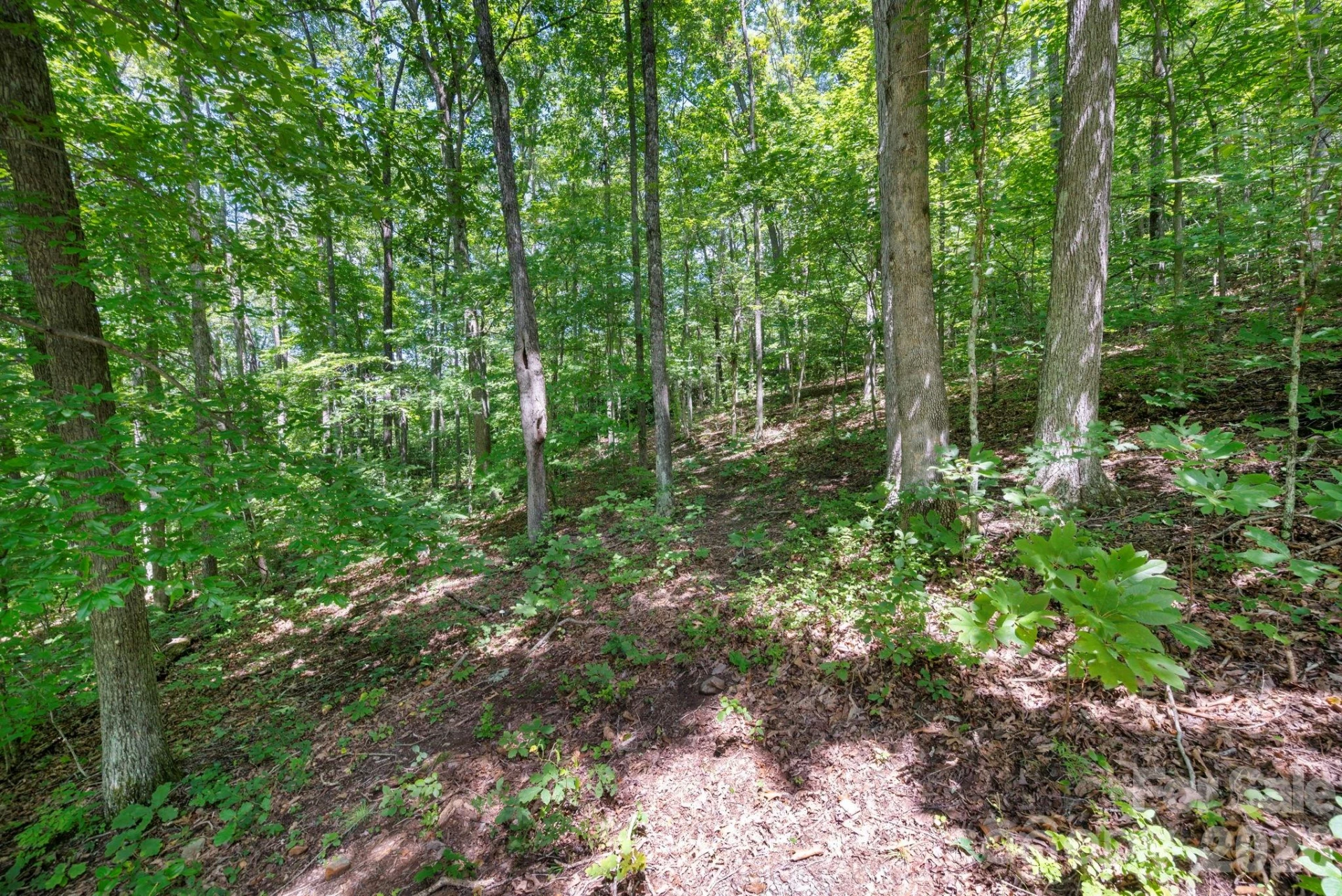 1250 Arborcrest Way #43 - Photo 4