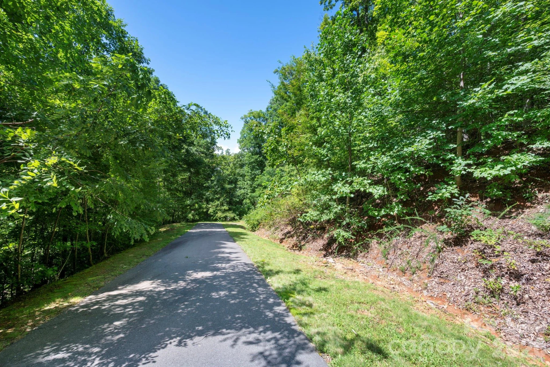 1250 Arborcrest Way #43 - Photo 6