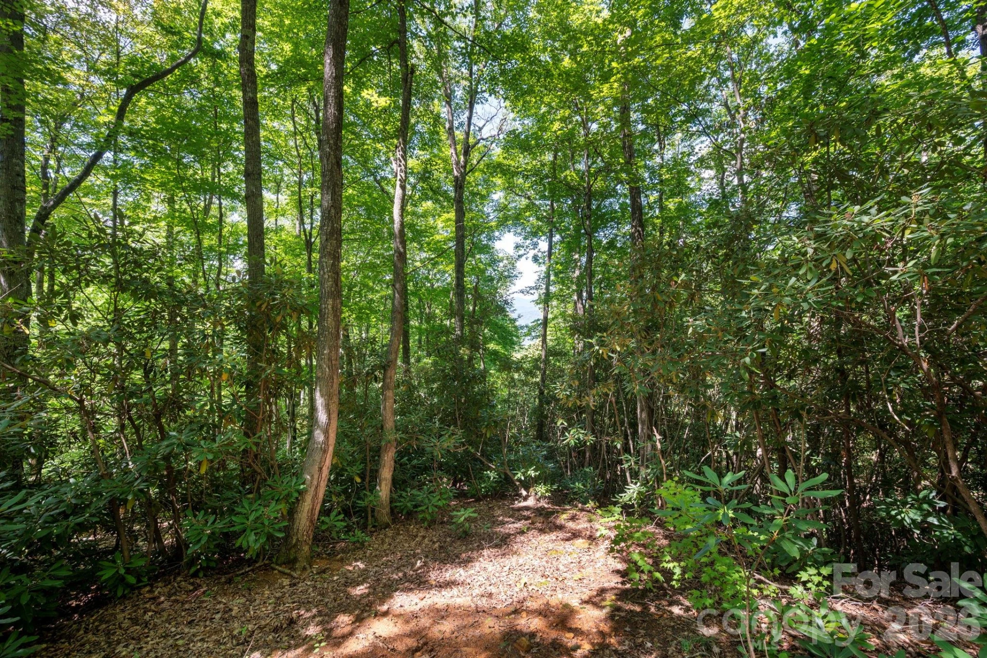 1250 Arborcrest Way #43 - Photo 7