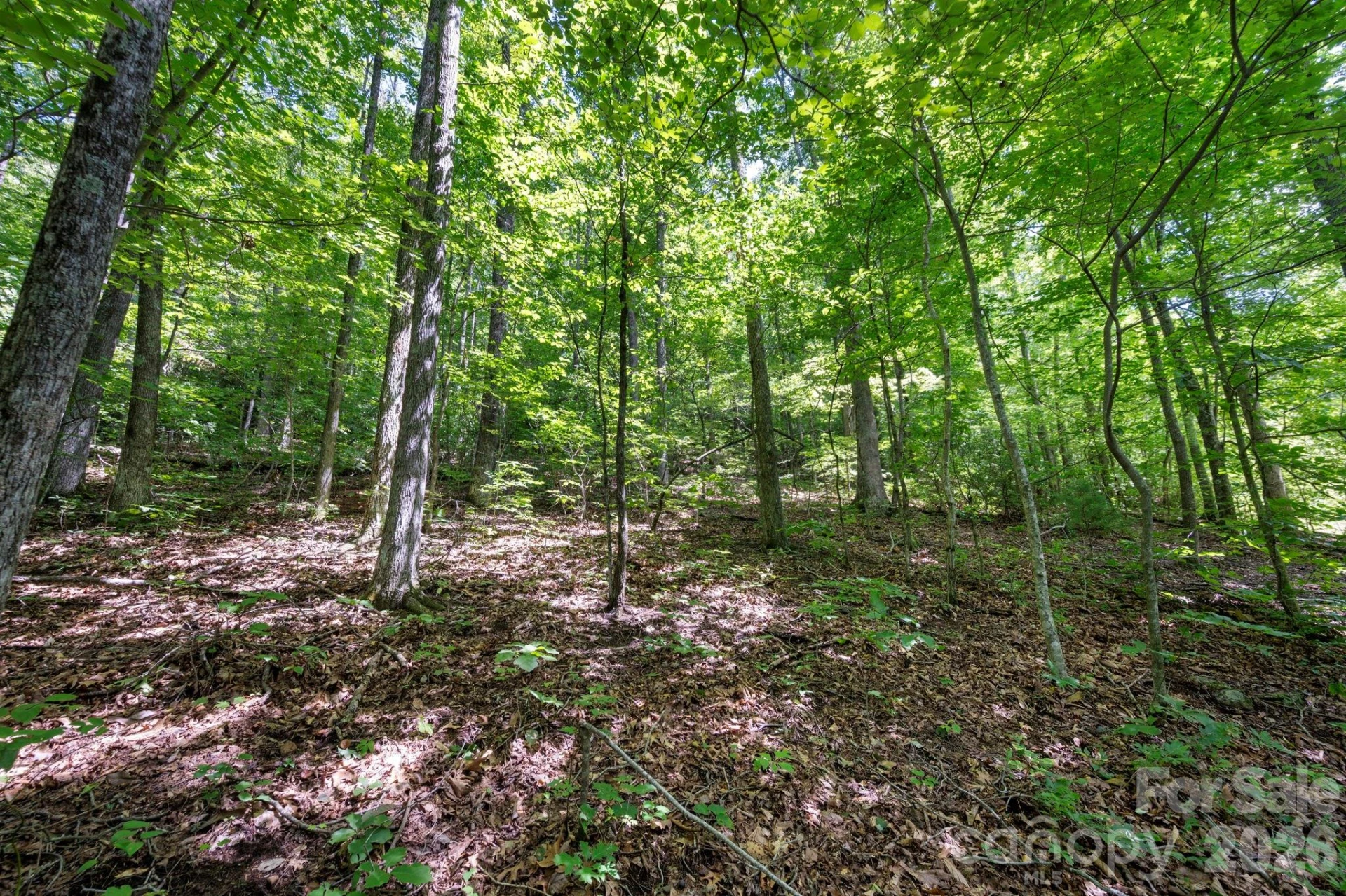 1250 Arborcrest Way #43 - Photo 9