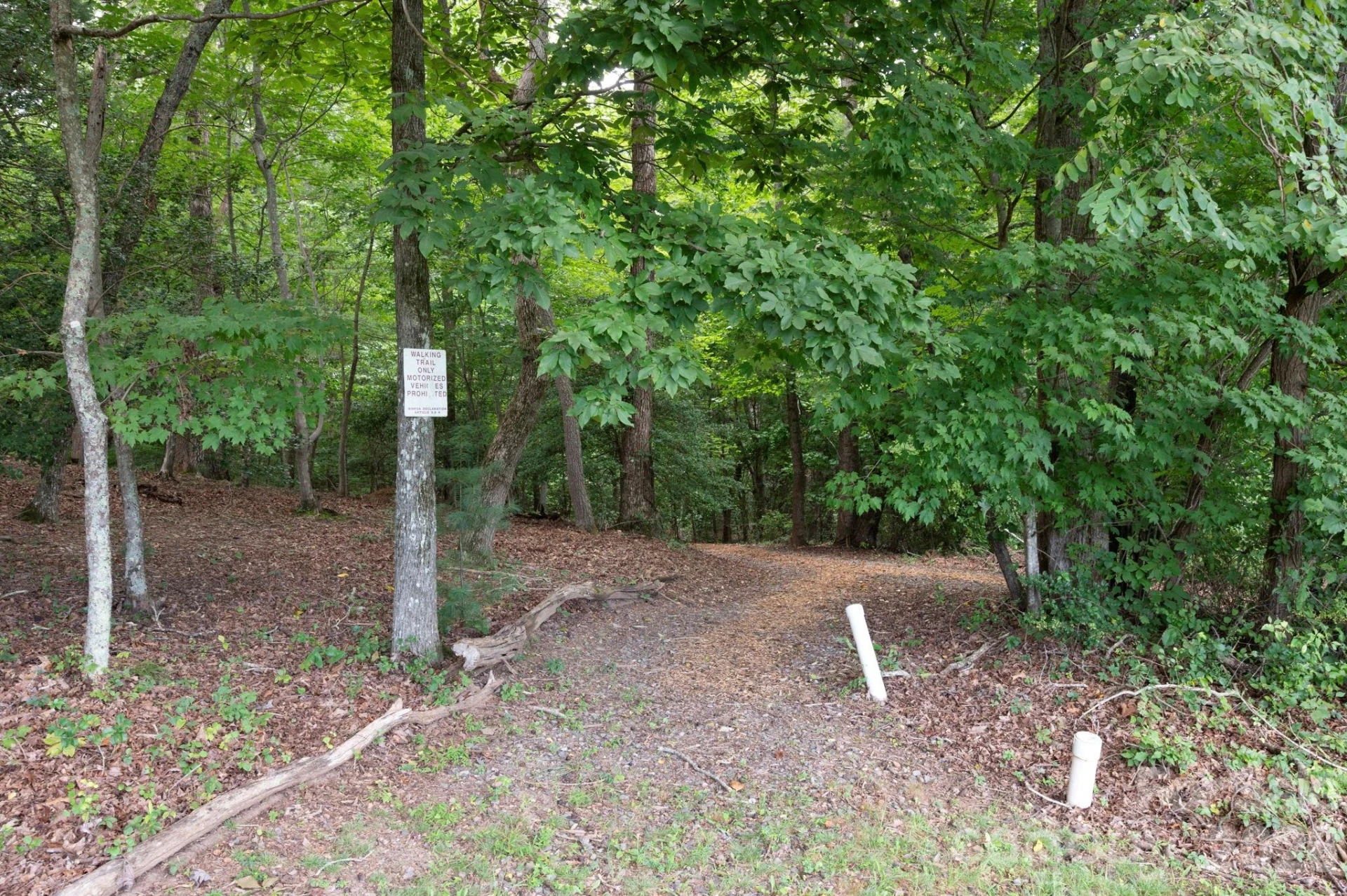16 Britton Knoll Pass - Photo 46