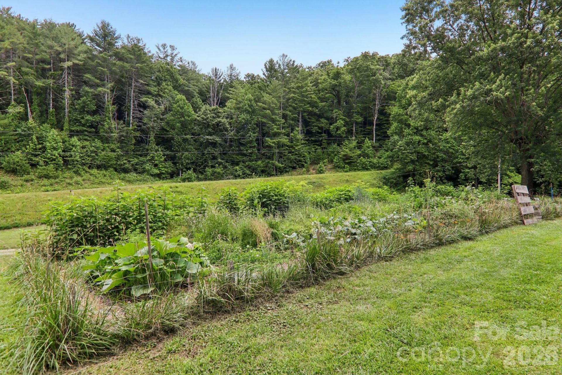 164 Pegg Road - Photo 34
