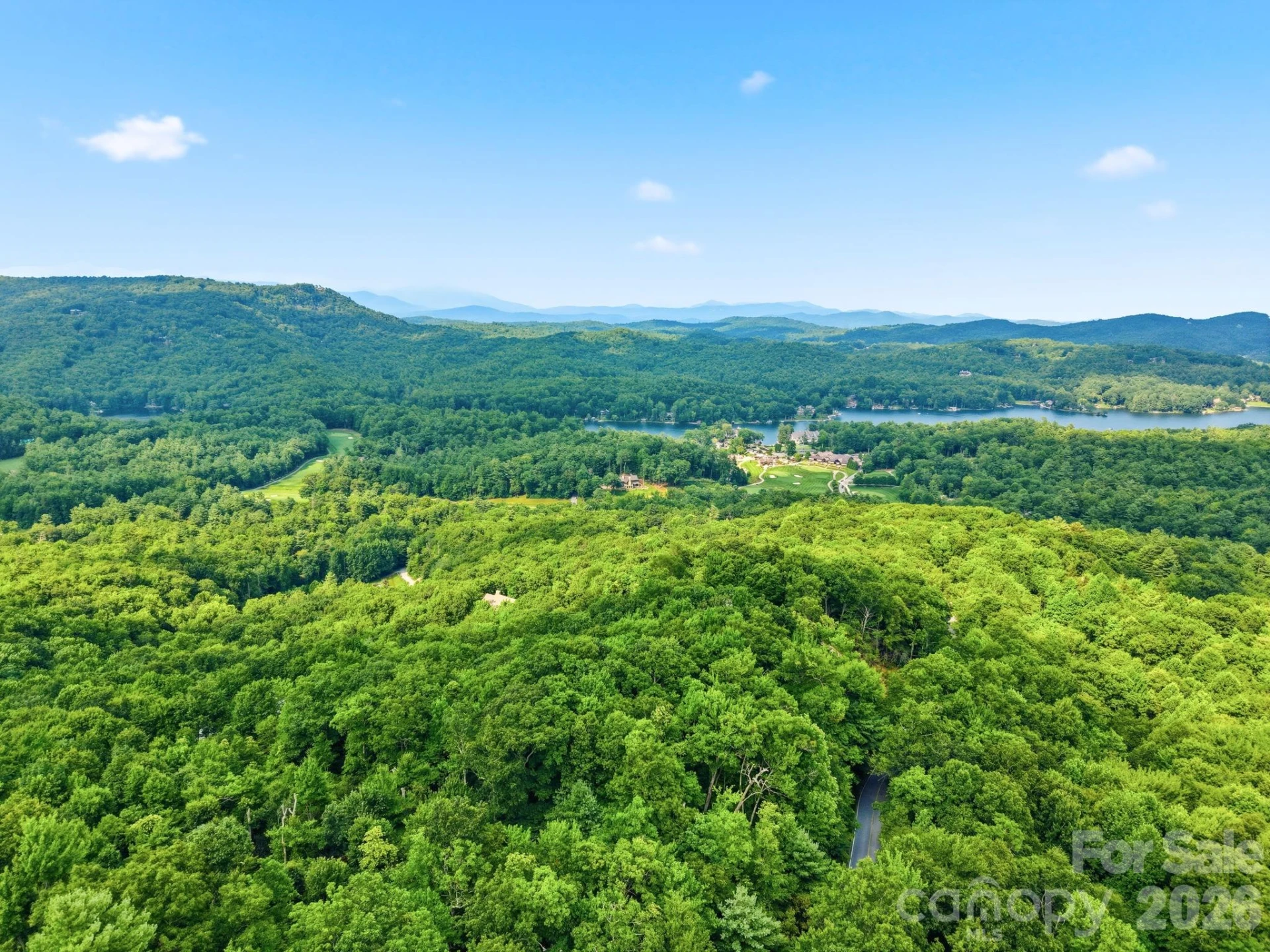 L 29 Toxaway Drive - Photo 8