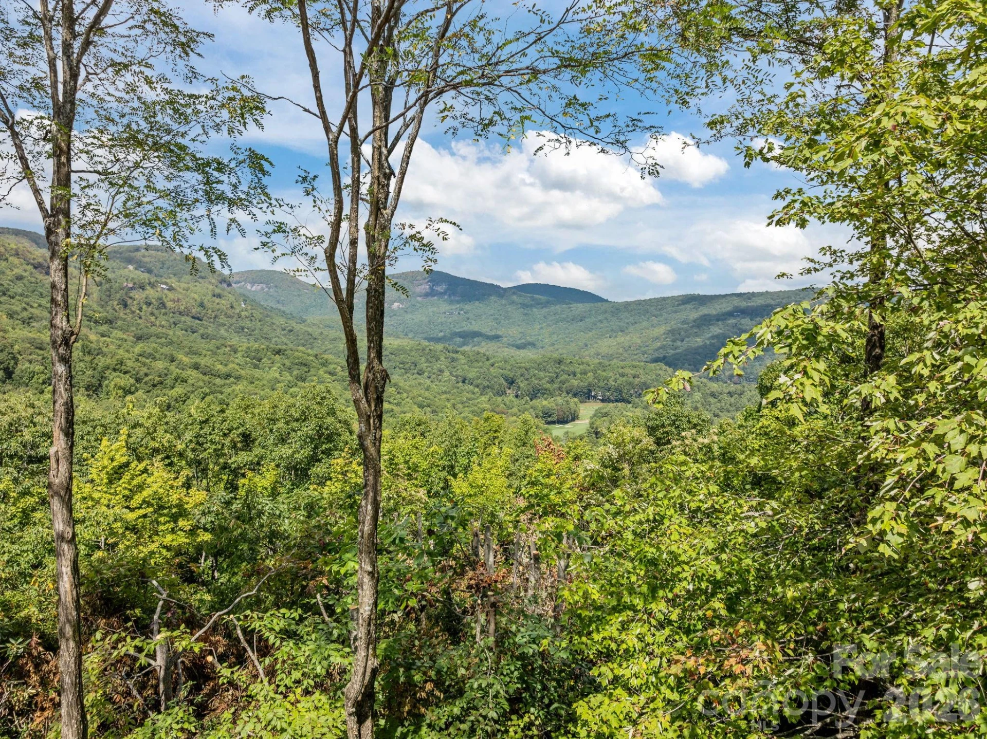 L 29 Toxaway Drive - Photo 9