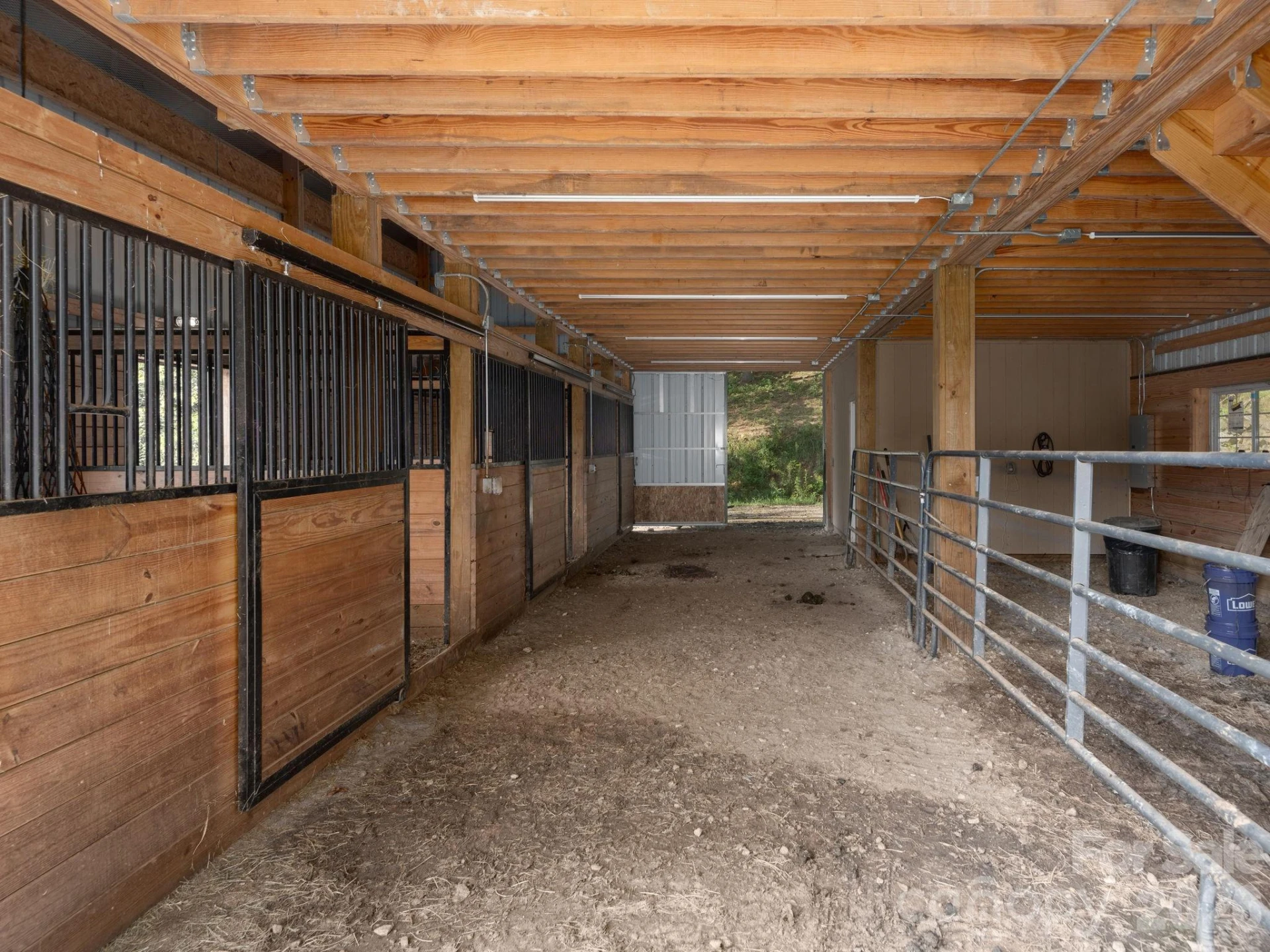 135 Potato Branch Road - Photo 43