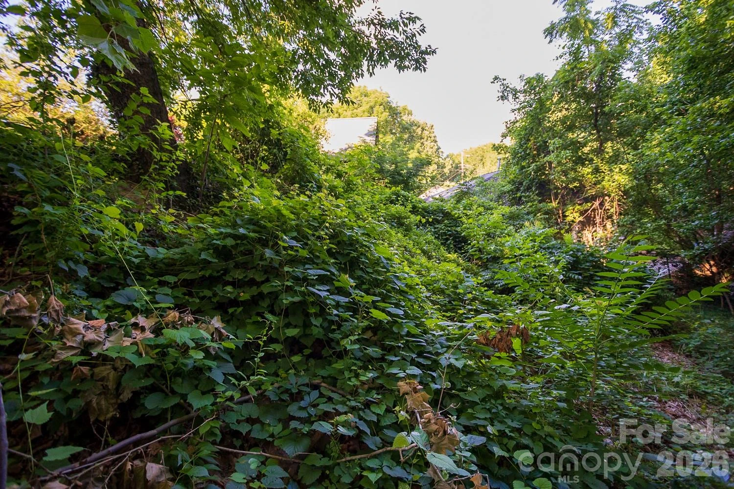 99999 Clingman Avenue - Photo 2