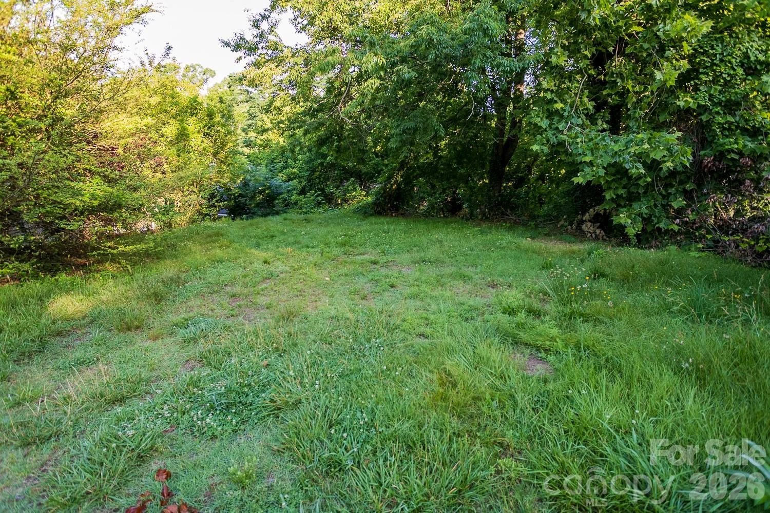 99999 Clingman Avenue - Photo 3