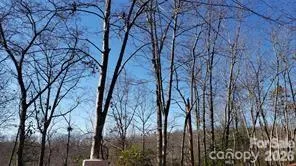 TBD Galax Lane, Brevard, NC, 28712