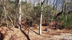 TBD Galax Lane #G-11 - Photo 2