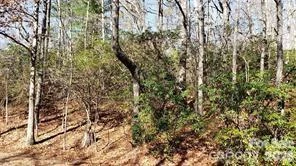 TBD Galax Lane #G-11 - Photo 3
