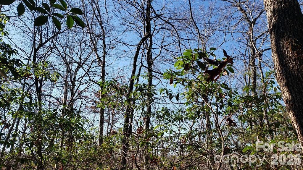 TBD Galax Lane #G-11 - Photo 4