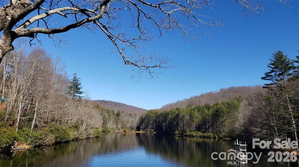 TBD Galax Lane #G-11 - Photo 5